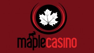 maple casino